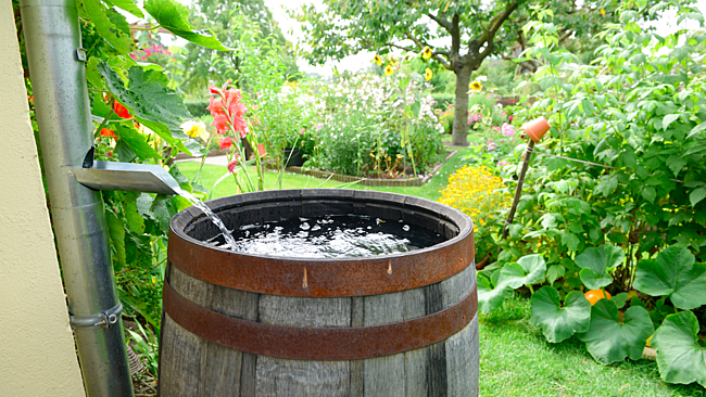 How to Manage Water Use Better in Your Home - Better HouseKeeper