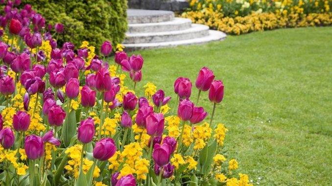 designing the perfect spring garden