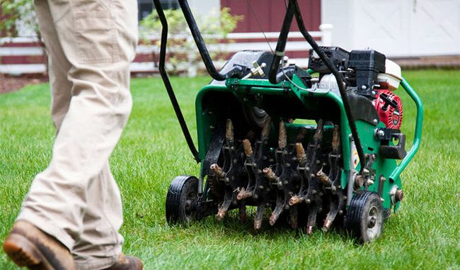 lawn aeration for spring