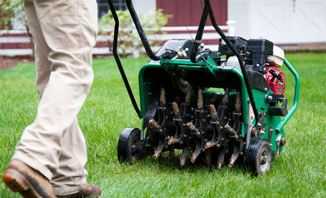 lawn aeration service