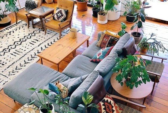 houseplants decorating