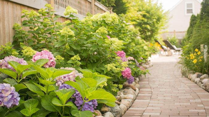 landscaping tips ideas