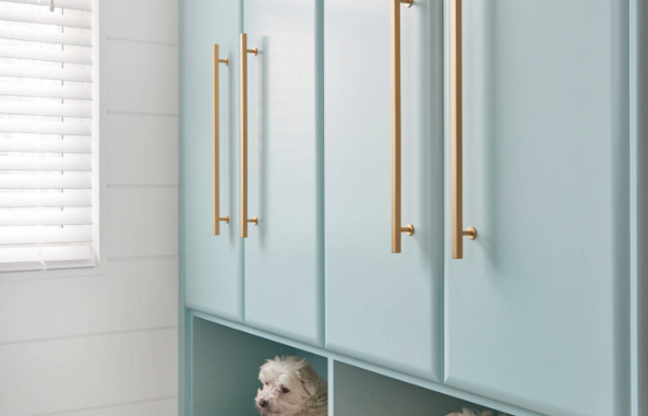 Pet homeowner tips ideas for dogs 4