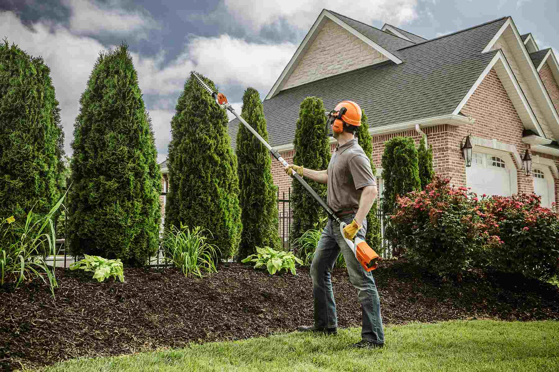 What are the Benefits of Tree Trimming? Better HouseKeeper