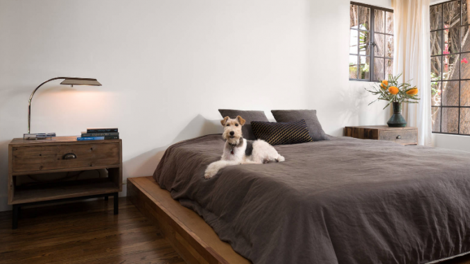 wood flooring for dogs