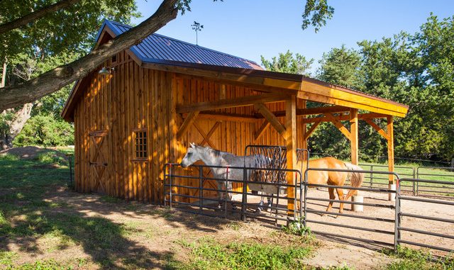 backyard barn for livestock