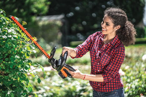 electric bush trimmers