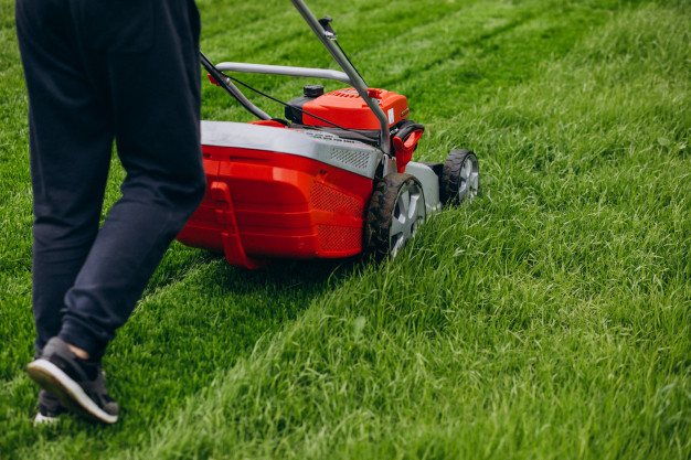 The Best Ways To Take Better Care Of Your Lawn This Winter | Better  HouseKeeper