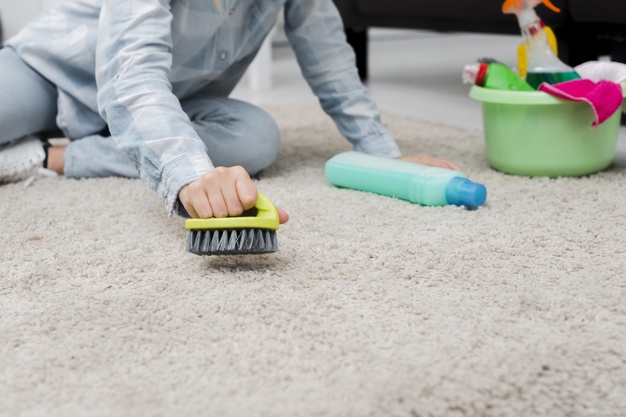 Carpet Steam Cleaning