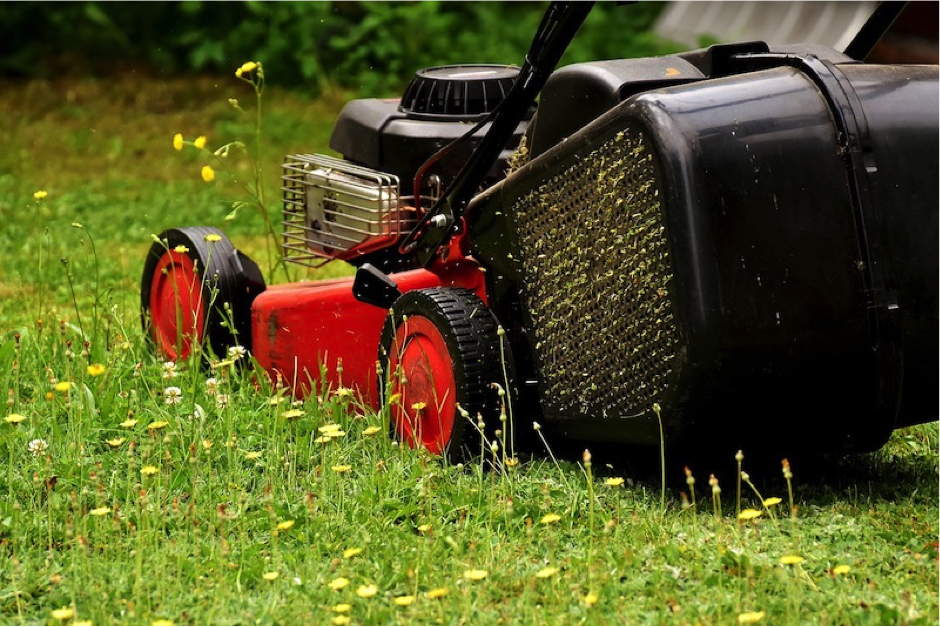 Are You Sowing The Lawn In Preparation For Spring