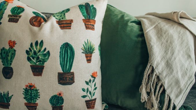 cactus pillow wallpaper decorating ideas