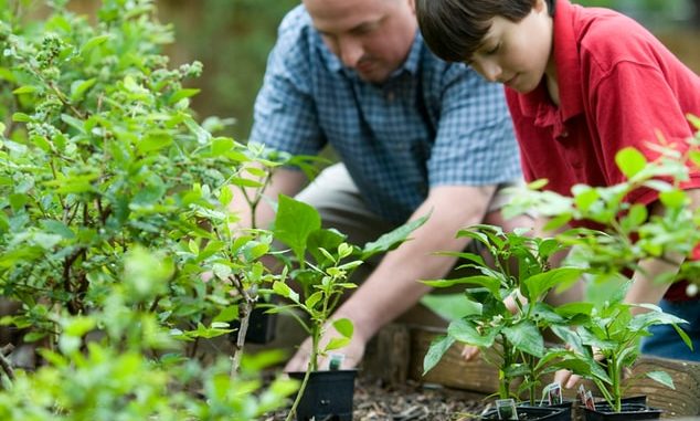 gardening how to start gear for beginners