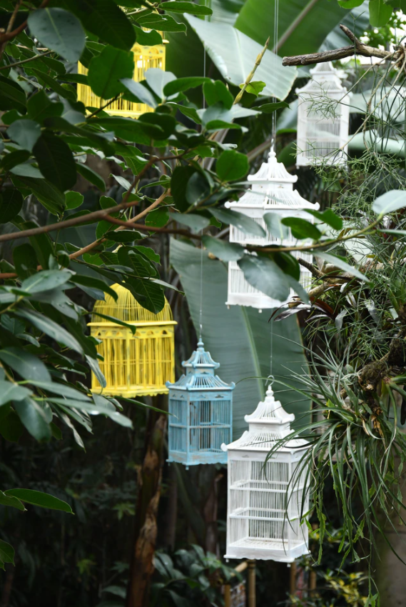 4 Beautiful Bird Cages That will Go With Your Home Decor - Better