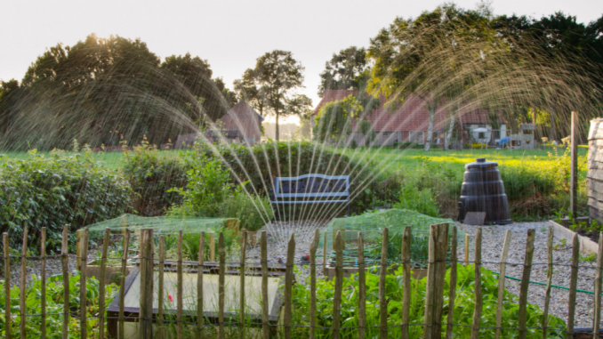 installing sprinkler irrigation system how to time sprinklers