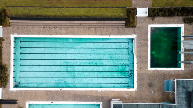 pool algae how to clean and maintain tips